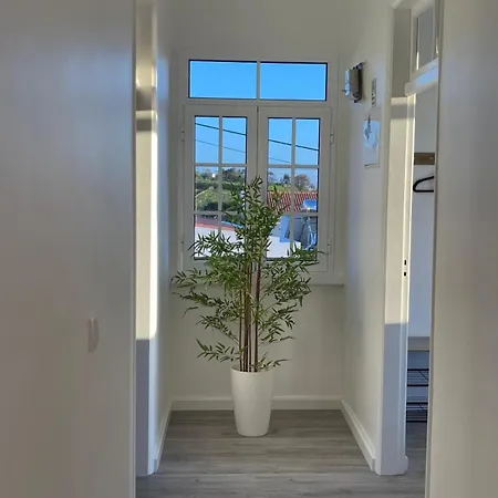 Casa Pereira 1